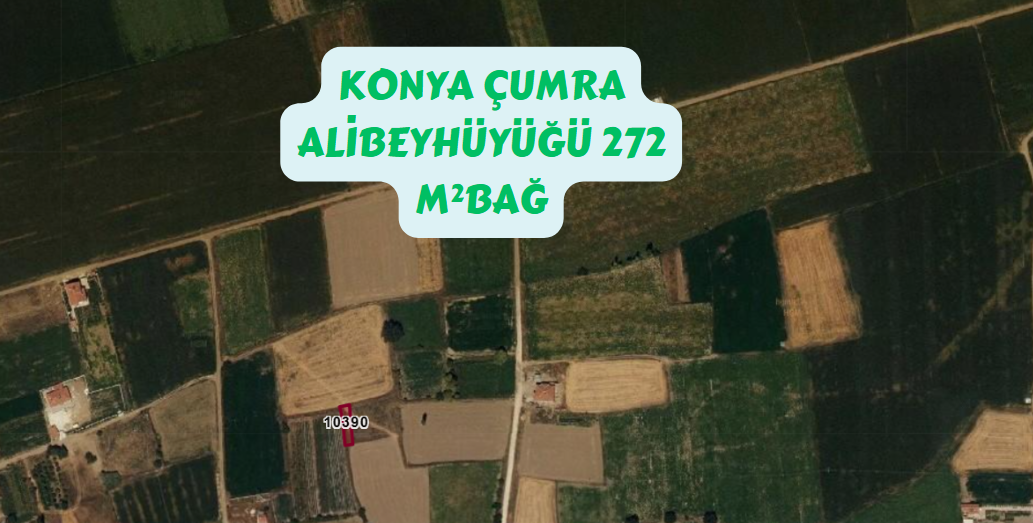 KONYA ÇUMRA ALİBEYHÜYÜĞÜ KÖYÜ 272M² BAĞIMIZ SATILIKTIR. - KONYA ÇUMRA fotoğraf 7